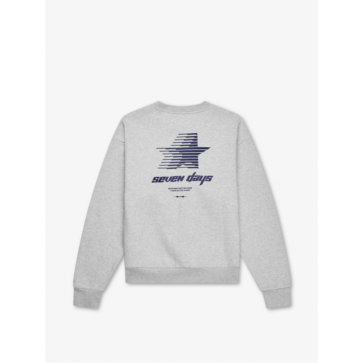 Organic Graphic Regular Crewneck